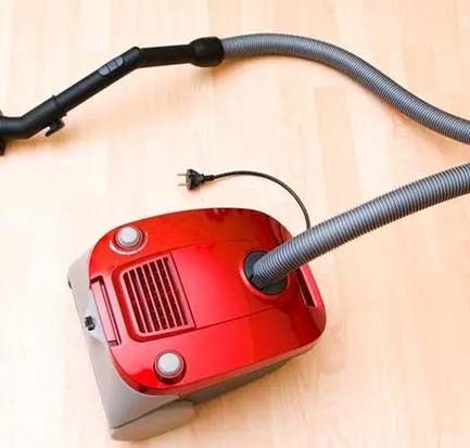 How to Get Dog Smell Out of Vacuum